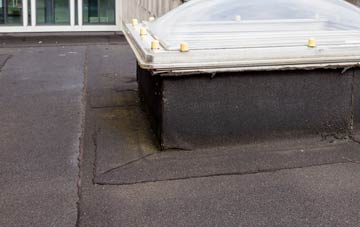 disadvantages of Stanton In Peak flat roofs