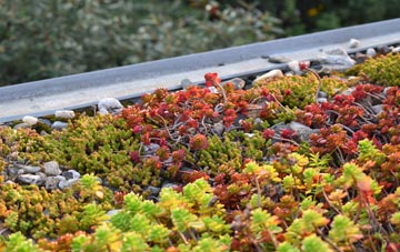 the cost of Stanton In Peak green roof installation