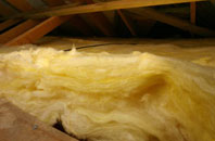 Stanton In Peak pitch roof insulation